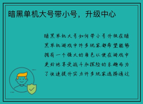 暗黑单机大号带小号，升级中心